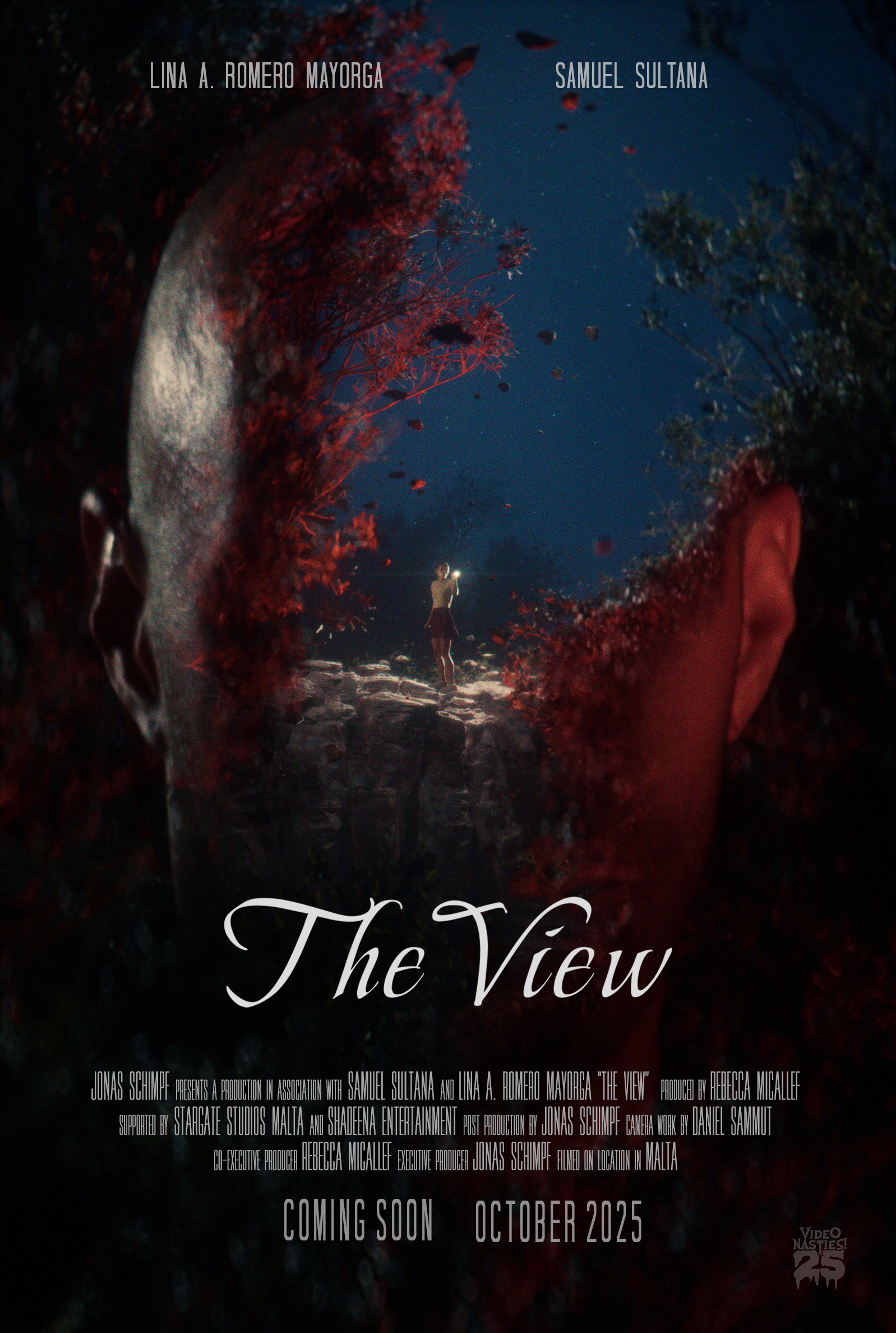 The View